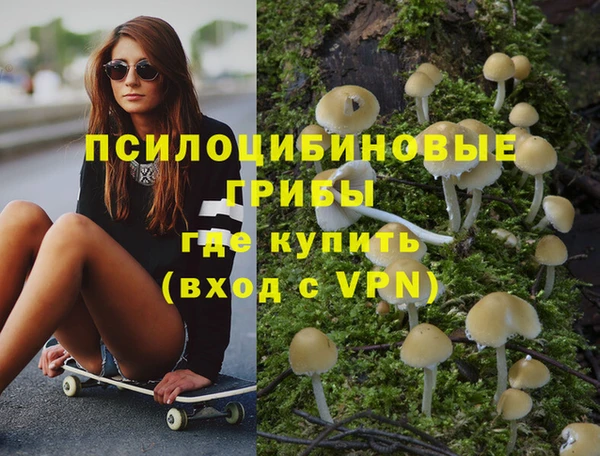 каннабис Дмитровск