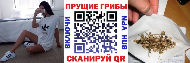 Купить закладки  Лыткарино  Галлюциногенные грибы Cubensis 